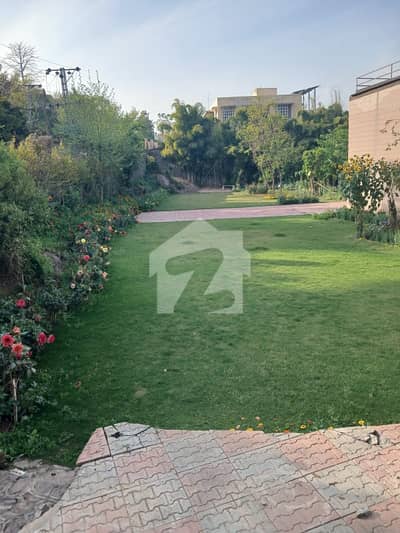 6 Kanal Beautiful Farm House Available For Rent In Banigala
