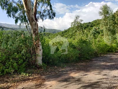 Prime 1 Kanal Plot In Judicial Town Block B Serene Green Landscape &Amp; Water Stream View
