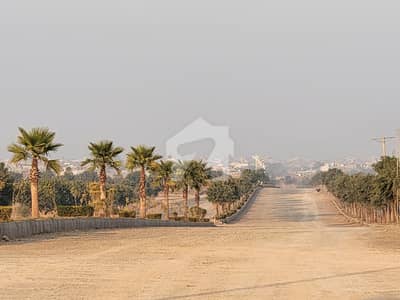 Gulberg Green C Block Commercial Plot