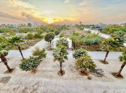 2.50 Marla Commercial Plot Near Prime Arcade Plaza