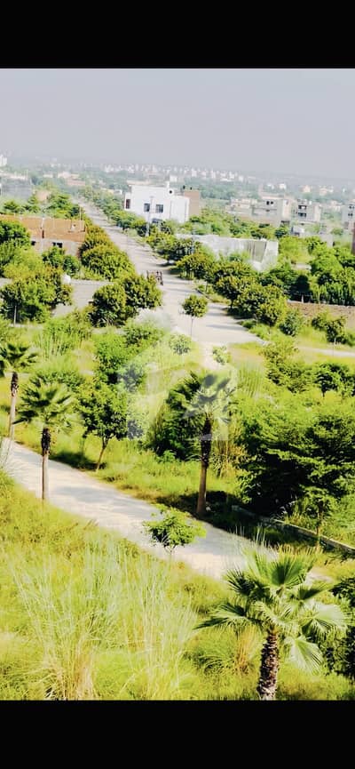 9.50 Marla Commercial Plot On 50 Foot Road Executive1 Block 9.50 Marla Commercial Plot On 50 Foot Road Executive1 Block