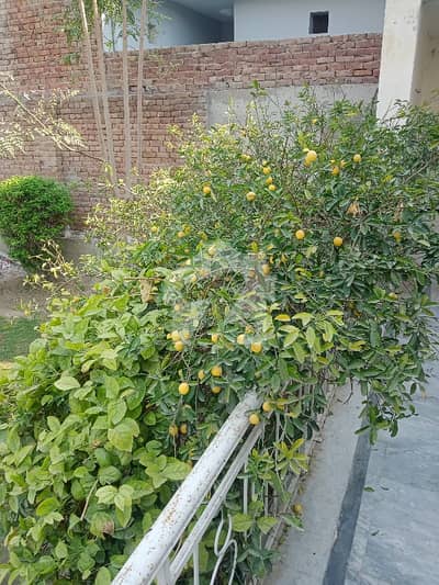 ایم اے جناح روڈ ملتان میں 4 کمروں کا 2 کنال مکان 5.5 کروڑ میں برائے فروخت۔