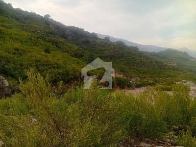 20 Kanal Scenic Land for Sale in Khanpur, District Haripur Ideal for Farmhouse, Hotel & Resort Investment