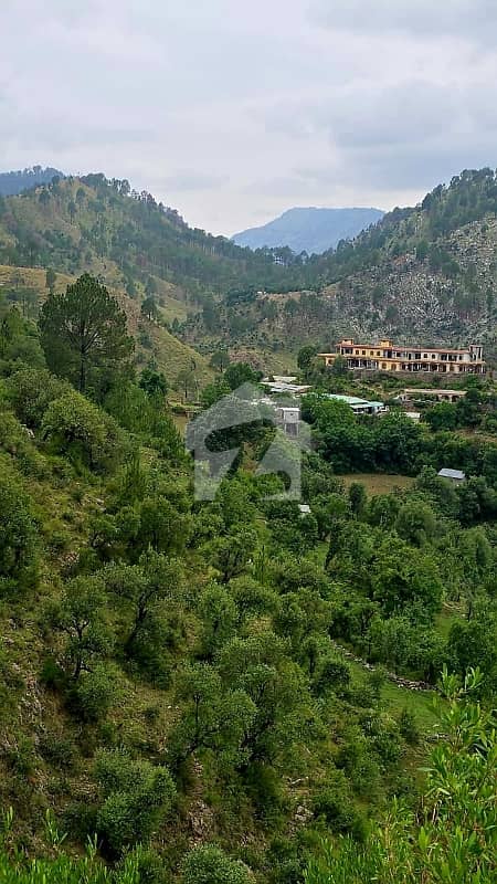 20 Kanal Plot Near Pine City Society KPK. 20 Kanal Plot Near Pine City Society KPK.