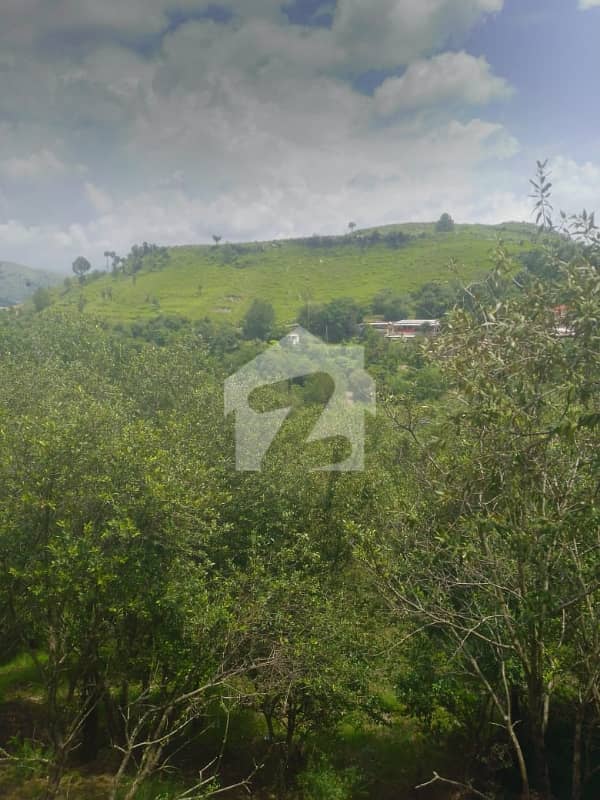 2 2