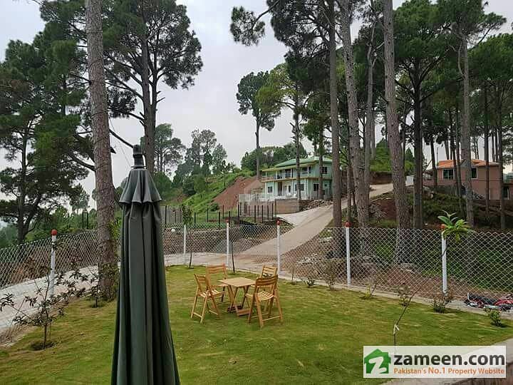 Plot For Sale Make Your Home In Lush Green Mountains Of Murree