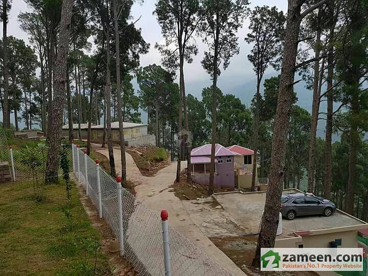 Murree Resorts Offering Land For Resorts And Farmhouses