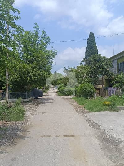 6 Marla Livable House For Sale G-9/4 Islamabad