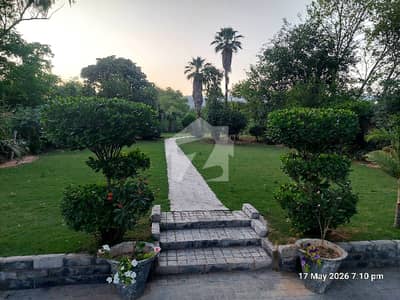 House Of 4500 Square Feet Is Available In Contemporary Neighborhood Of F-8