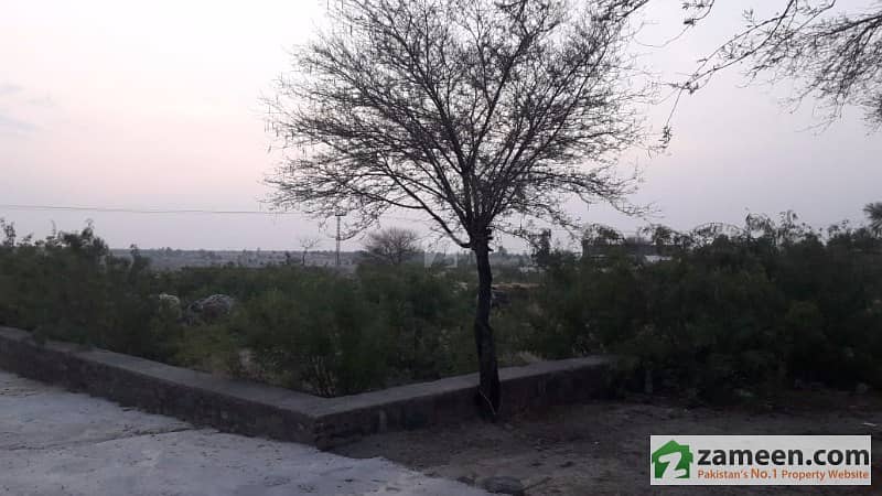 Commercial Plot Road Front 75 Feet For Sale