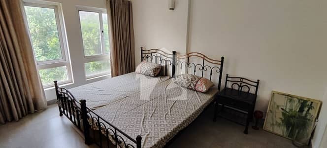 2 Bedroom Fully Furnished Apartment For Rent In Diplomatic Enclave