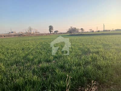 روات اسلام آباد میں 115 کنال زرعی زمین 30.0 کروڑ میں برائے فروخت۔