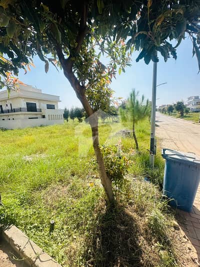 Low Budget Plot For Sale 10 Marla In Top City
