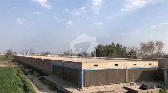 15 Kanal Control Shed 43000 SQF Covered Area For Sale In Khanuana Faisalabad