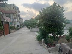 HOUSE AVAILABLE FOR SALE ( GULSHAN E JAMI GREEN BELT BEST LOCATION FOR BALLROOM) HOUSE AVAILABLE FOR SALE ( GULSHAN E JAMI GREEN BELT BEST LOCATION FOR BALLROOM)