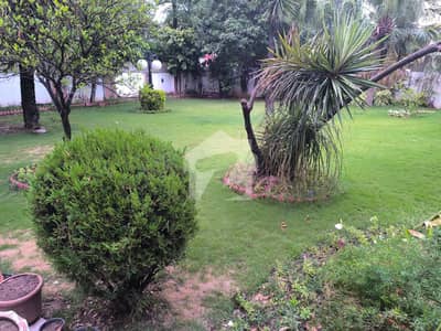 F7 Investor Alert 1166.66 SQY House Available for Sale. F7 Investor Alert 1166.66 SQY House Available for Sale.