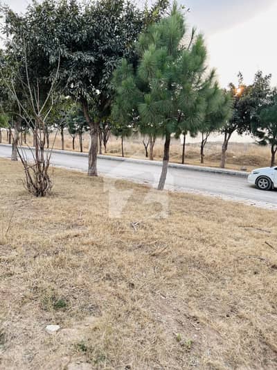 Gulberg Green Block A 05Kanal Developed Possession Solid Land 380series Available For Sale