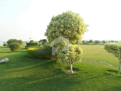 بینکرس ایوینیو کوآپریٹو ہاؤسنگ سوسائٹی لاہور میں 5 مرلہ رہائشی پلاٹ 89.0 لاکھ میں برائے فروخت۔