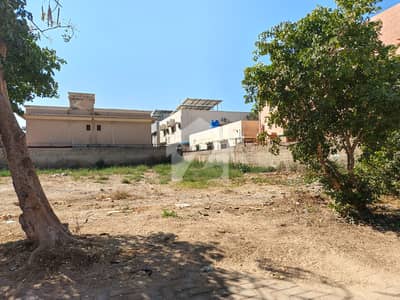 600 Yards Plot At 32nd Street East Open Off KHY-MUHAFIZ DHA Phase 6