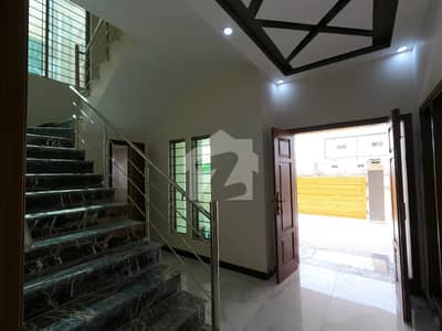 Brand New Big House For Rent Purpose
