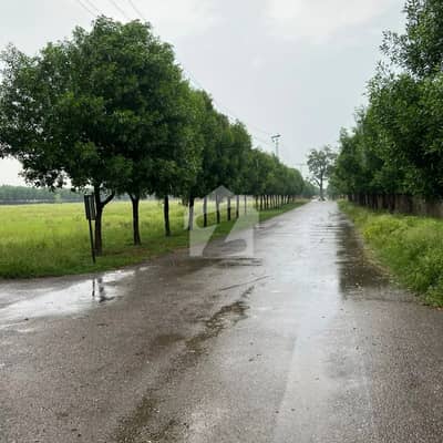 برکی روڈ کینٹ,لاہور میں 5 کنال رہائشی پلاٹ 1.6 کروڑ میں برائے فروخت۔ برکی روڈ کینٹ,لاہور میں 5 کنال رہائشی پلاٹ 1.6 کروڑ میں برائے فروخت۔