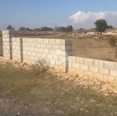 Get Your Hands On Farm House In Chakbeli Road Best Area