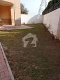 7 7