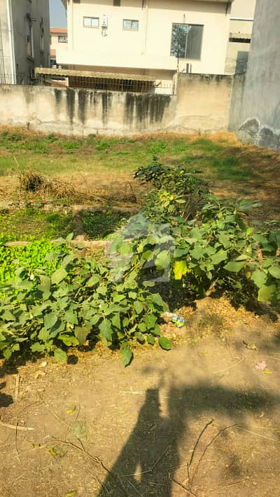 5 Marla Plot For Sale