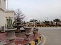 26 26