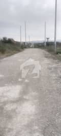 3 3