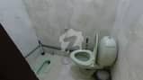 17 17