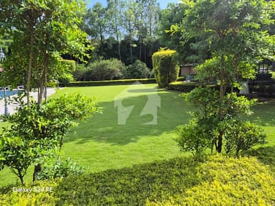Beautiful Luxurious House Available For Sale In F- 8 Islamabad. | 7 Bedrooms | Top Off Location. Low Price.