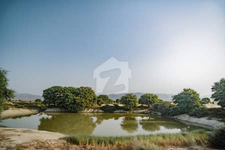 Agricultural Land in Mouza Shatngi Pasni