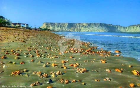 موضع گُنز گوادر میں 8 کنال کمرشل پلاٹ 25.0 لاکھ میں برائے فروخت۔