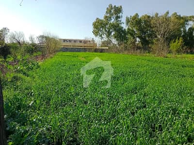 آرچرڈ سکیم اسلام آباد میں 1 کمرے کا 20 کنال فارم ہاؤس 80.0 کروڑ میں برائے فروخت۔