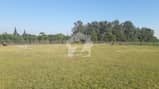 3 3