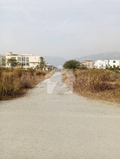 5 Marla Plot For Sale In D-12