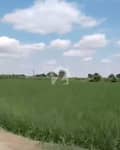 1 1