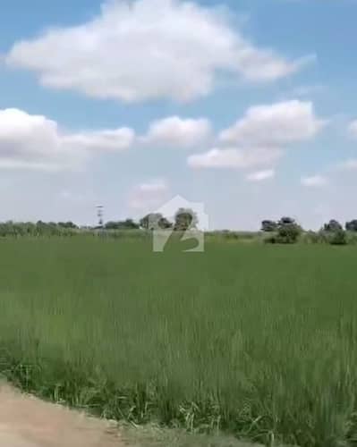 3 KANAL BEAUTIFULL FARMHOUSE LAND