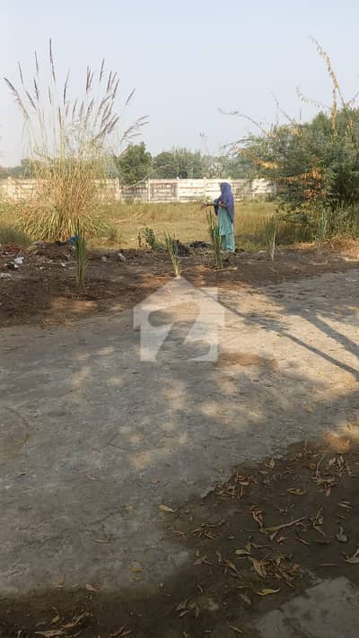 2 KANAL PLOT IN JAHMAN