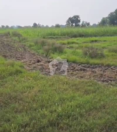 بیدیاں روڈ لاہور میں 16 کنال رہائشی پلاٹ 8.0 کروڑ میں برائے فروخت۔ بیدیاں روڈ لاہور میں 16 کنال رہائشی پلاٹ 8.0 کروڑ میں برائے فروخت۔