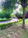 6 6