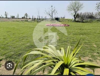 بیدیاں روڈ لاہور میں 4 کنال رہائشی پلاٹ 1.76 کروڑ میں برائے فروخت۔