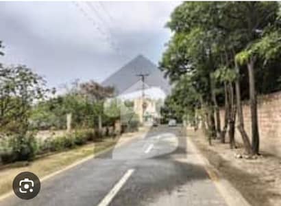 Centrally Located Residential Plot For Sale In Bedian Road Available