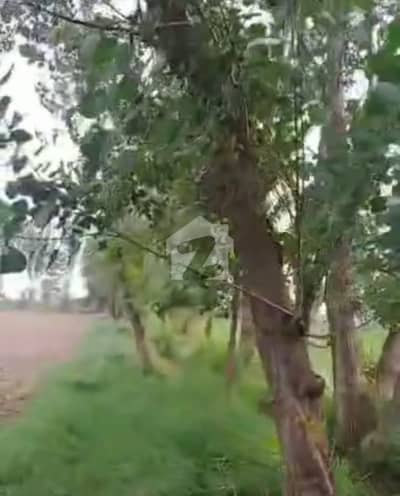 4 KANAL FARMHOUSE/RESIDENTIAL PLOT IN ORCHARD GREENZ