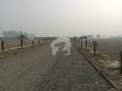 16 KANAL FARM HOUSE PLOT IN HARBOUR