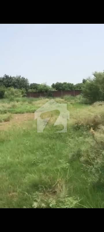 3 KANAL BEAUTIFULL FARMHOUSE PLOT FOR SALE
