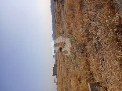 Available 240 Yard West Open Residential Plot Ideal Location And Reasonable Price Available 240 Yard West Open Residential Plot Ideal Location And Reasonable Price