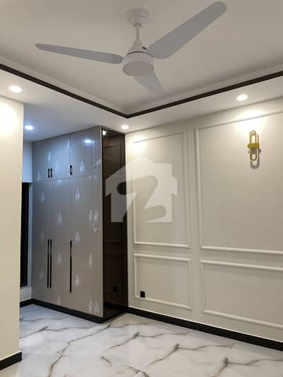 Open Basement For Rent Separate Entrance