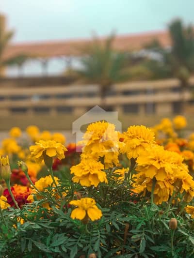 Become Owner Of Your Prime Location Residential Plot Today Which Is Centrally Located In Naya Nazimabad - Block A In Karachi Become Owner Of Your Prime Location Residential Plot Today Which Is Centrally Located In Naya Nazimabad - Block A In Karachi